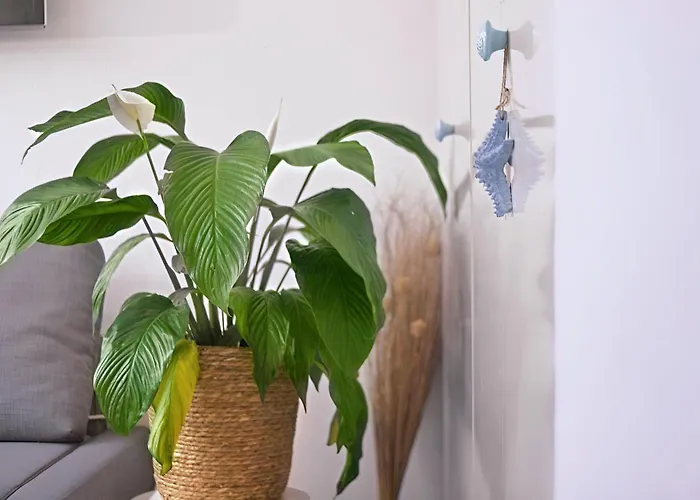 Maritime Mit Meerblick Sierksdorf